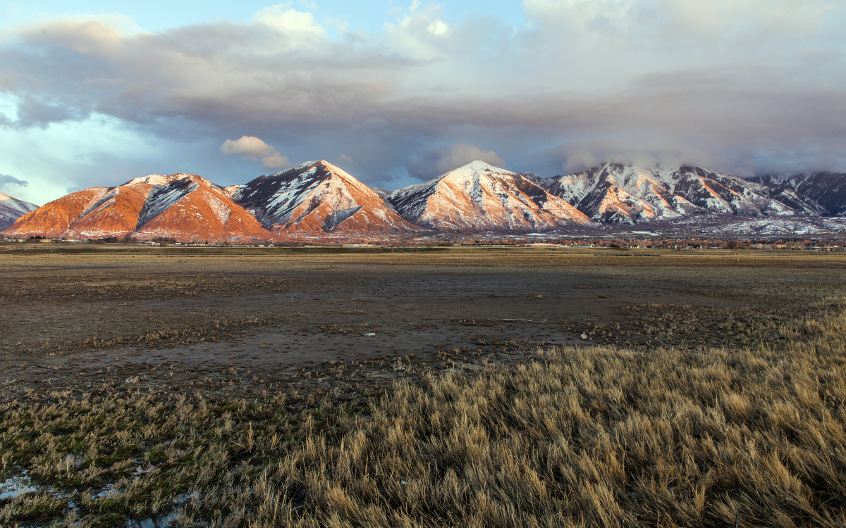 What Happens to a CRP Contract When Land Sells? A Guide for Colorado Land Buyers and Sellers